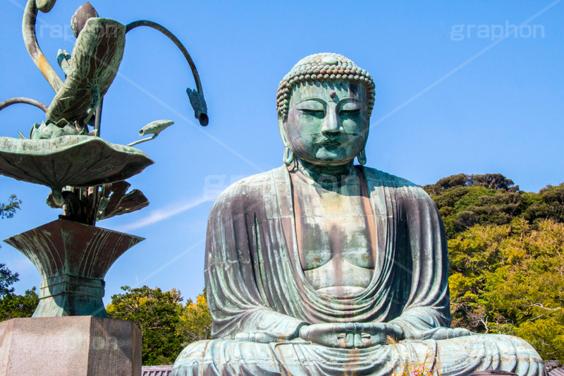 鎌倉大仏,大仏,鎌倉大仏殿高徳院,長谷の大仏,阿弥陀如来像,銅像,高徳院,こうとくいん,神奈川,鎌倉,長谷,浄土宗,寺院,寺,国宝,大異山,巨大,temple,japan,名所,青空