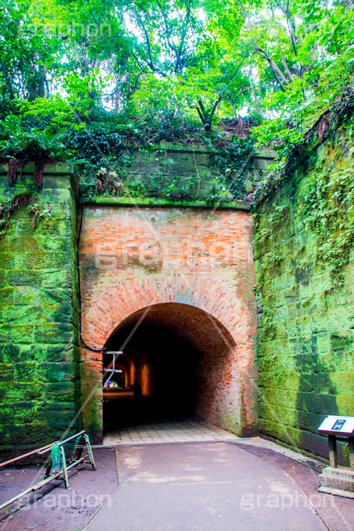 猿島,さるしま,無人島,東京湾,自然島,島,公園,神奈川県,横須賀,自然,史跡,伝説,レンガ造,レンガ,トンネル,苔,コケ,空虚