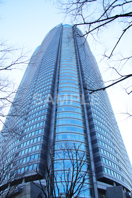六本木,六本木ヒルズ,ヒルズ,森ビル,森タワー,Roppongi Hills,高層オフィスビル,54階,高層,ビル,港区,真下,見上げ