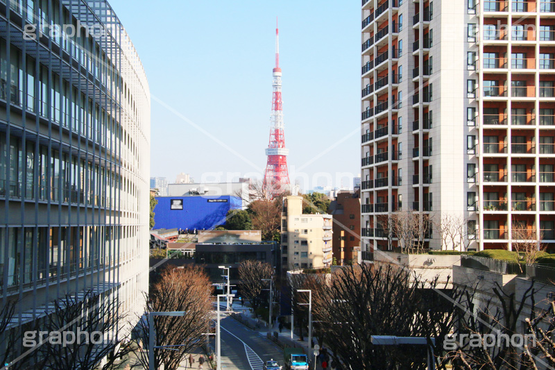 けやきざか,けやき坂,港区,六本木,ヒルズ,Roppongi Hills,ブランド,ショッピング,東京タワー,タワー,総合電波塔,電波,日本電波塔,japan