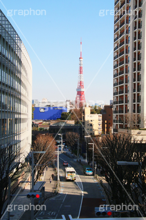東京タワー,タワー,総合電波塔,電波,日本電波塔,港区,けやきざか,けやき坂,港区,六本木,ヒルズ,Roppongi Hills,ブランド,ショッピング,japan,六本木ヒルズ