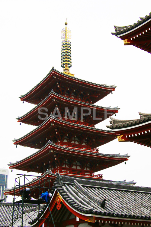 浅草,雷門,浅草寺,あさくさ,台東区,寺,お寺,参拝,お参り,東京都内最古,都内最古,五重塔,五重,五重の塔,塔,浅草 名所,浅草 観光,asakusa,japan,スポット,寺院