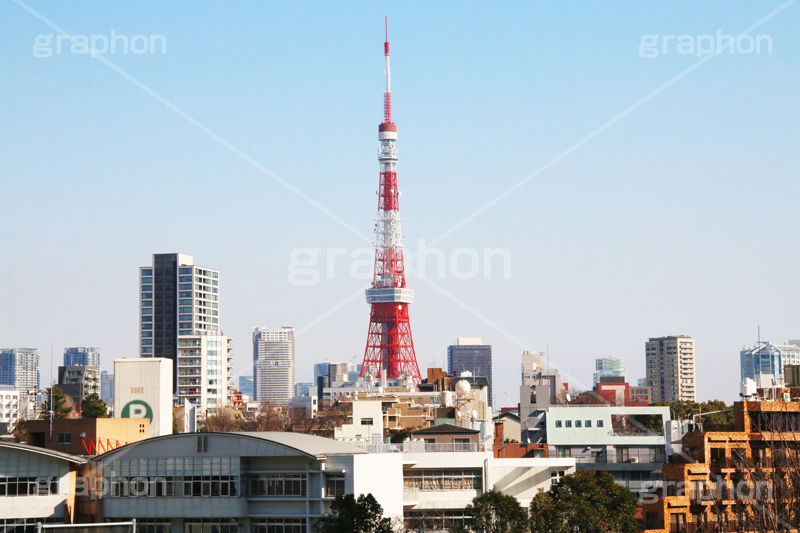 東京タワー,タワー,総合電波塔,電波,塔,日本電波塔,333m,とうきょうタワー,Tokyo Tower,港区,東京のシンボル,観光名所,ヒルズ,六本木,japan,六本木ヒルズ