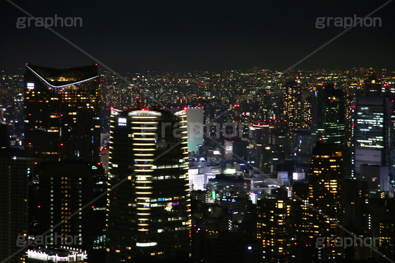 六本木,六本木ヒルズ,ヒルズ,森ビル,森タワー,Roppongi Hills,港区,夜,夜景,繫華街,夜の街,夜の町