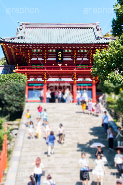 鶴岡八幡宮,神社,神奈川,鎌倉,国幣中社,武家源氏,観光,japan,参拝,お参り,石段,階段,大階段,大石段,本宮,上宮
