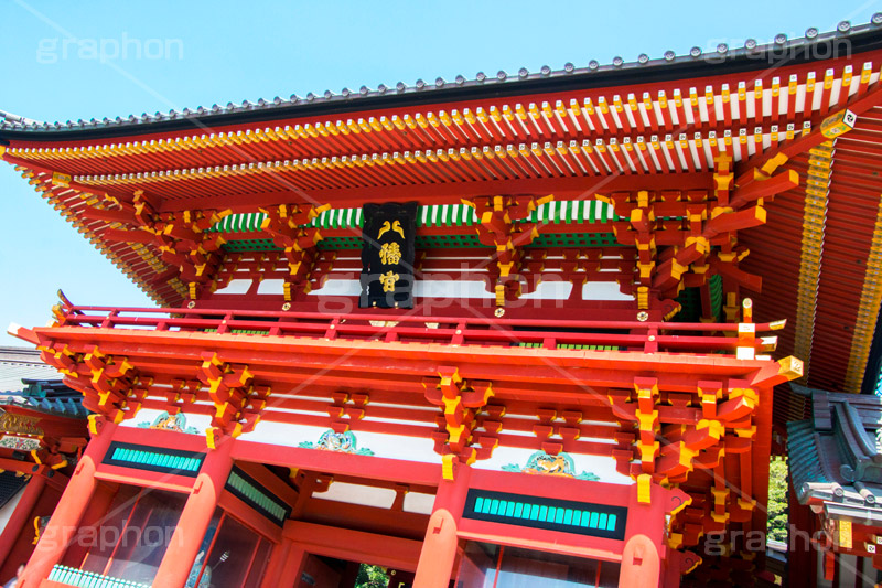 鶴岡八幡宮,神社,神奈川,鎌倉,国幣中社,武家源氏,観光,japan,参拝,お参り,本宮,上宮
