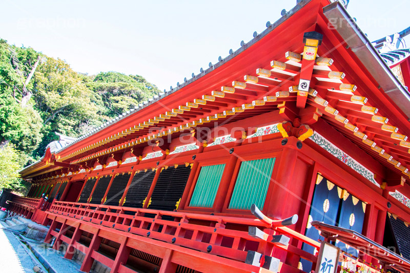 鶴岡八幡宮,神社,神奈川,鎌倉,国幣中社,武家源氏,観光,japan,参拝,お参り,本宮,上宮