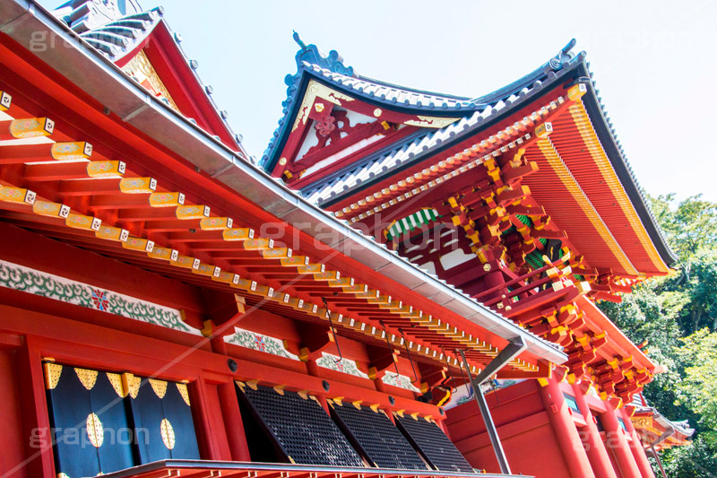 鶴岡八幡宮,神社,神奈川,鎌倉,国幣中社,武家源氏,観光,japan,参拝,お参り,本宮,上宮