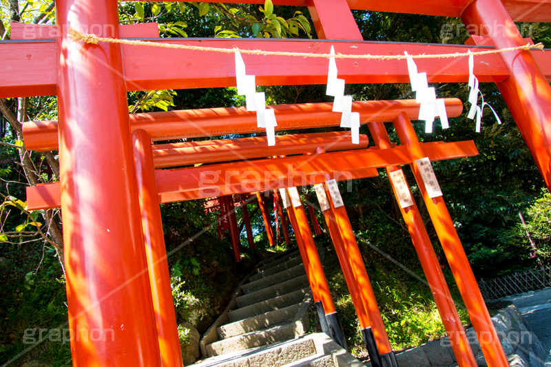 丸山稲荷社,鶴岡八幡宮,神社,神奈川,鎌倉,国幣中社,武家源氏,観光,japan,参拝,お参り,鳥居