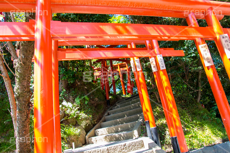 丸山稲荷社,鶴岡八幡宮,神社,神奈川,鎌倉,国幣中社,武家源氏,観光,japan,参拝,お参り,鳥居