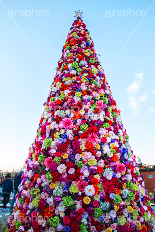 東京スカイツリータウンのクリスマスツリー,ツリー,施設,イルミネーション,イルミ,illumination,tree,電飾,電球,発光ダイオード,LED,冬,キラキラ,綺麗,きれい,キレイ,煌,輝,デート,スポット,都内,クリスマス,飾り,イベント,スカイツリー,東京スカイツリー,TOKYO SKYTREE,墨田区,押上,クリスマスツリー,ツリー,Christmas,flower,商業施設,行事,フラワー,花,solamachi,青空