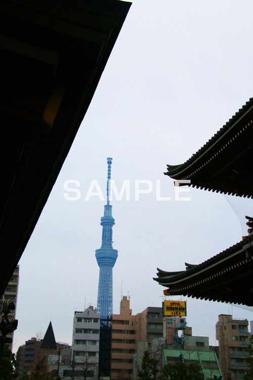 浅草寺＆スカイツリー,浅草,雷門,浅草寺,あさくさ,台東区,寺,お寺,参拝,お参り,東京都内最古,都内最古,スカイツリー,浅草寺とスカイツリー,浅草名所,東京スカイツリー,TOKYO SKYTREE,浅草 名所,浅草 観光,asakusa,japan,スポット,寺院,tower,タワー