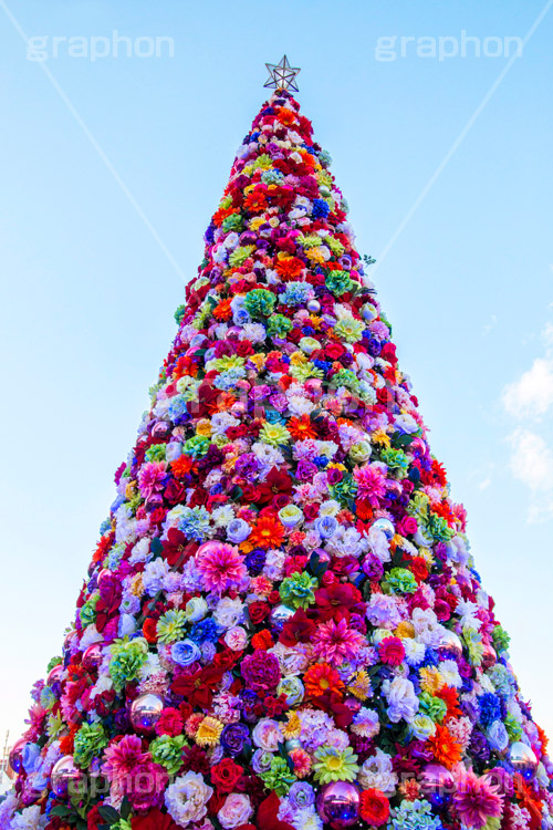 東京スカイツリータウンのクリスマスツリー,ツリー,施設,イルミネーション,イルミ,illumination,tree,電飾,電球,発光ダイオード,LED,冬,キラキラ,綺麗,きれい,キレイ,煌,輝,デート,スポット,都内,クリスマス,飾り,イベント,スカイツリー,東京スカイツリー,TOKYO SKYTREE,墨田区,押上,クリスマスツリー,ツリー,Christmas,flower,商業施設,行事,フラワー,花,solamachi,青空