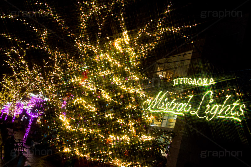 自由が丘イルミネーション,イルミネーション,イルミ,illumination,クリスマスツリー,tree,電飾,電球,発光ダイオード,LED,冬,キラキラ,綺麗,きれい,キレイ,煌,輝,デート,スポット,都内,クリスマス,自由が丘,CHRISTMAS,Xmas,飾り,デコレーション,イベント,目黒区,クロスフィルタ,行事,九品仏,ピンク,ゴールド,ワイングラス,gold,pink,JIYUGAOKA Mistral Lights
