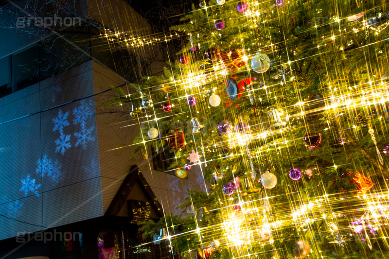 自由が丘クリスマスツリー,クリスマスツリー,tree,雪の結晶,イルミネーション,イルミ,illumination,電飾,電球,発光ダイオード,LED,冬,キラキラ,綺麗,きれい,キレイ,煌,輝,デート,スポット,都内,クリスマス,自由が丘,CHRISTMAS,Xmas,飾り,デコレーション,イベント,目黒区,クロスフィルタ,行事,九品仏,ゴールド,gold,JIYUGAOKA Mistral Lights