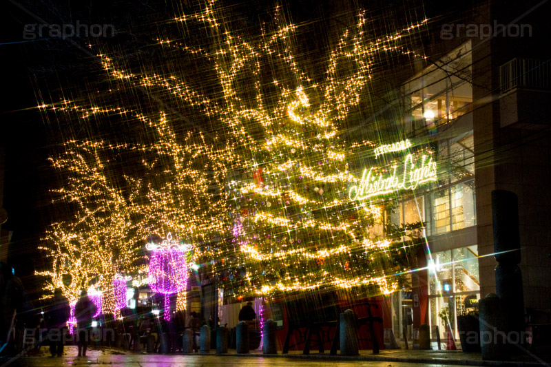 自由が丘イルミネーション,イルミネーション,イルミ,illumination,クリスマスツリー,tree,電飾,電球,発光ダイオード,LED,冬,キラキラ,綺麗,きれい,キレイ,煌,輝,デート,スポット,都内,クリスマス,自由が丘,CHRISTMAS,Xmas,飾り,デコレーション,イベント,目黒区,クロスフィルタ,行事,九品仏,ピンク,ゴールド,ワイングラス,gold,pink,JIYUGAOKA Mistral Lights