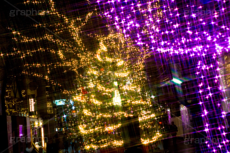 自由が丘イルミネーション,イルミネーション,イルミ,illumination,クリスマスツリー,tree,電飾,電球,発光ダイオード,LED,冬,キラキラ,綺麗,きれい,キレイ,煌,輝,デート,スポット,都内,クリスマス,自由が丘,CHRISTMAS,Xmas,飾り,デコレーション,イベント,目黒区,クロスフィルタ,行事,九品仏,ピンク,ゴールド,ワイングラス,gold,pink,JIYUGAOKA Mistral Lights