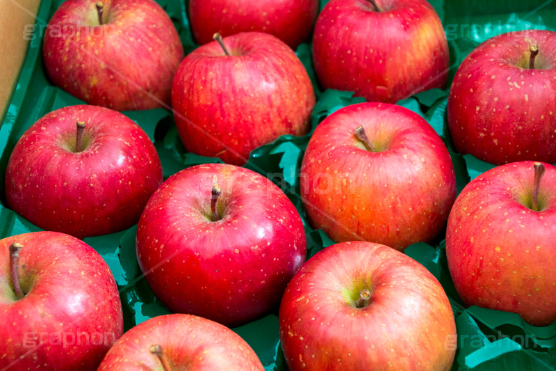 送られてきた林檎,りんご,リンゴ,林檎,フルーツ,果実,果物,fruit,apple,アップル,真っ赤,フレッシュ,fresh