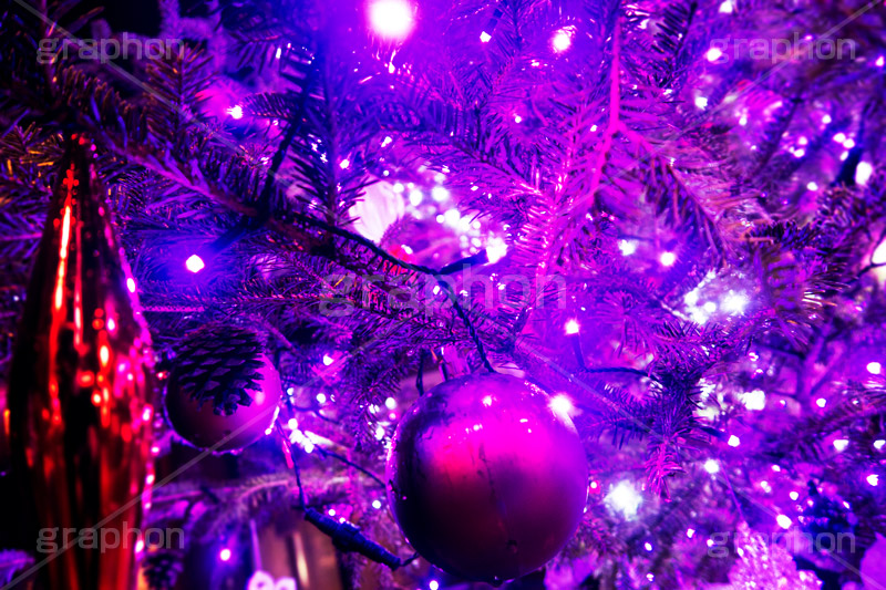 ピンクに輝くクリスマスツリー,クリスマスツリー,イルミネーション,イルミ,illumination,tree,電飾,電球,発光ダイオード,LED,冬,キラキラ,綺麗,きれい,キレイ,煌,輝,クリスマス,CHRISTMAS,Xmas,ornament,present,pink,飾り,デコレーション,イベント,オーナメント,ピンク,雨,雨粒