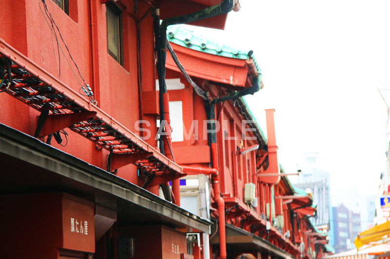 仲見世,仲見世通り,浅草,雷門,宝蔵門,浅草寺,あさくさ,みやげ物,みやげ,お土産,商店,寺院建築風,台東区,裏,裏通り,浅草 名所,浅草 観光,asakusa,japan