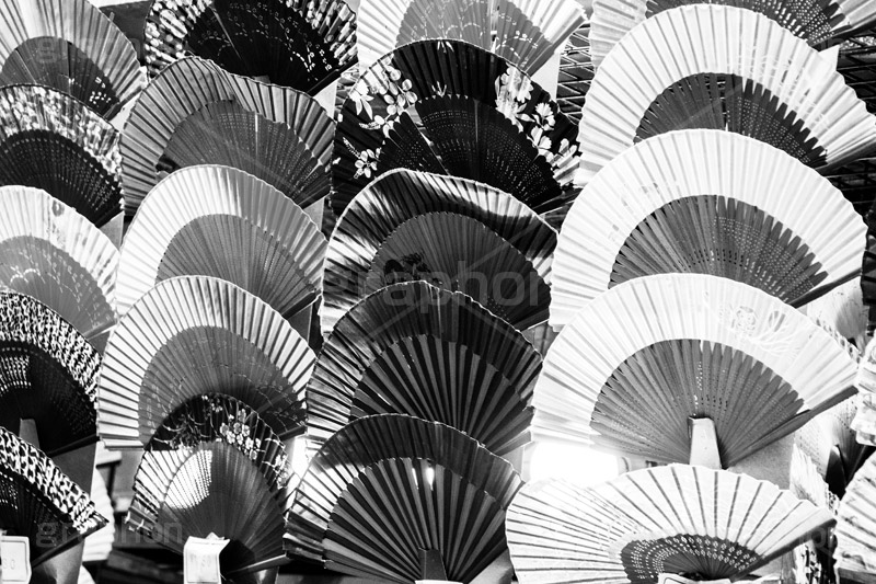 扇子(モノクロ),モノクロ,白黒,しろくろ,モノクローム,単色画,単彩画,単色,和