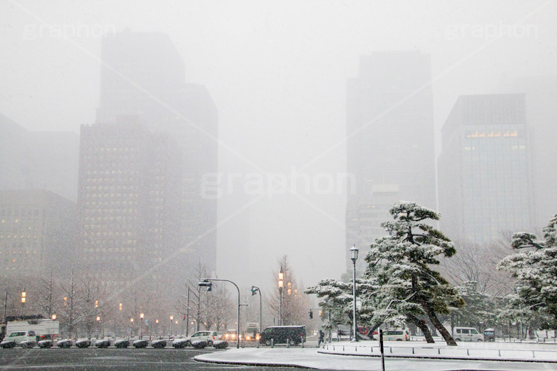 大雪の大手町,大手町,オフィス街,ビル群,高層ビル,雪,冬,積もる,降る,寒波,大雪,皇居,千代田区,吹雪,東京,tokyo,japan,building,snow