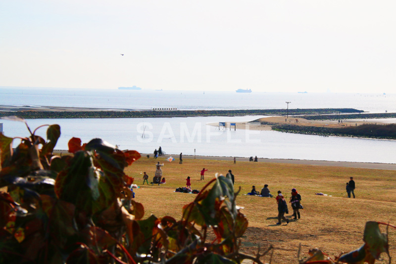 葛西,臨海公園,海,江戸川区,冬