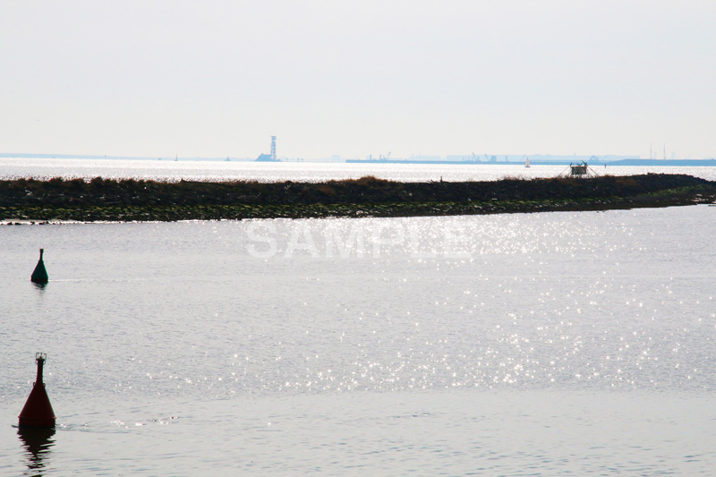 葛西,臨海公園,海,江戸川区,海面