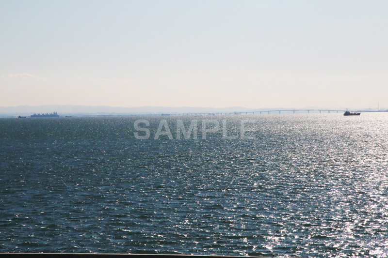 葛西,臨海公園,海,江戸川区,海面,大海原