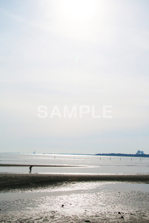葛西,臨海公園,海,江戸川区,浅瀬,潮干