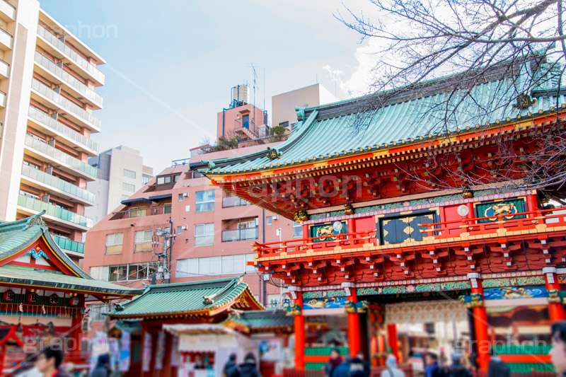 神田明神,神田神社,参拝,お参り,神社,千代田区,神田祭,境内,神田,秋葉原,東京,観光,japan