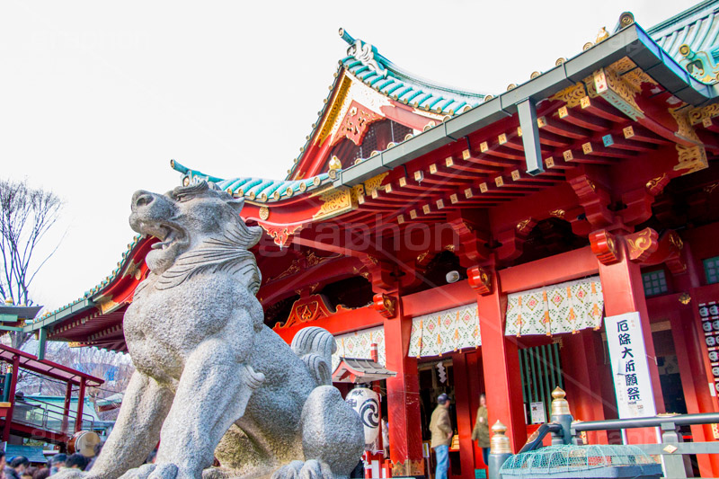 神田明神,神田神社,参拝,お参り,神社,千代田区,神田祭,境内,神田,秋葉原,東京,観光,japan,狛犬,神