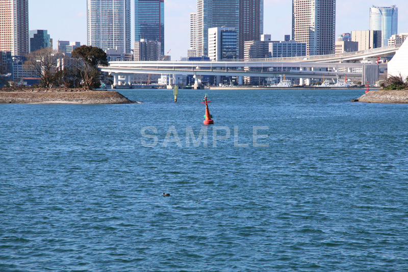 お台場,台場,海浜,海,海浜