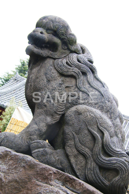 浅草,あさくさ,台東区,浅草神社,神社,参拝,お参り,浅草 名所,浅草 観光,狛犬,獅子,犬,石像,像,守る,asakusa,japan,shrine