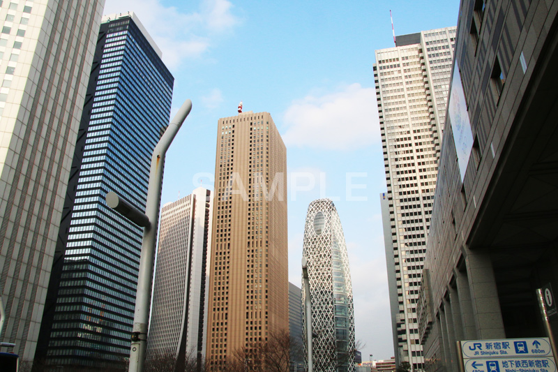 新宿ビル群,新宿,新宿区,ビル,都会,ビル群,高層ビル,ビジネス,都庁前,shinjuku,building,office