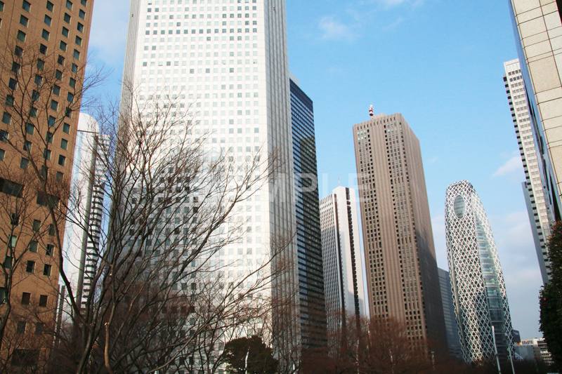 新宿ビル群,新宿,新宿区,ビル,都会,ビル群,高層ビル,ビジネス,都庁前,shinjuku,building,office
