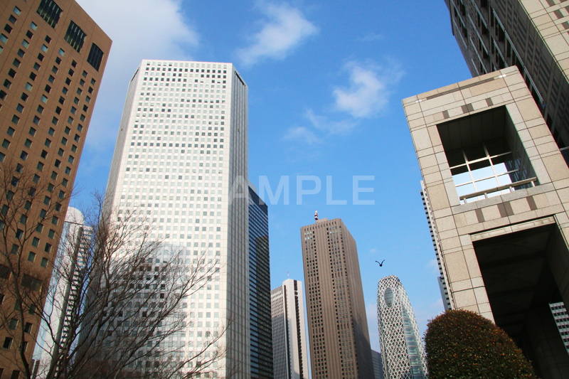 新宿ビル群,新宿,新宿区,ビル,都会,ビル群,高層ビル,ビジネス,shinjuku,building,office