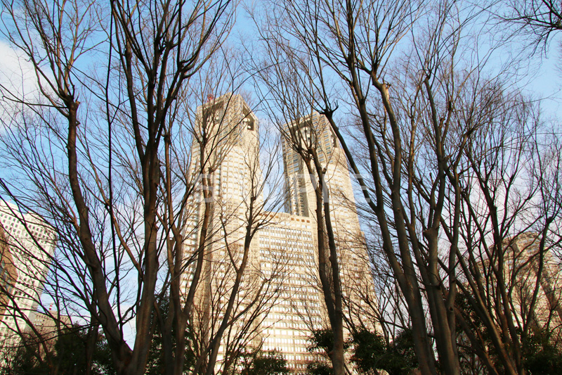新宿中央公園,中央公園,東京都庁,都庁,とちょう,都知事,執行機関,行政,高層ビル,新宿,新宿区,第一本庁舎,庁舎,shinjuku