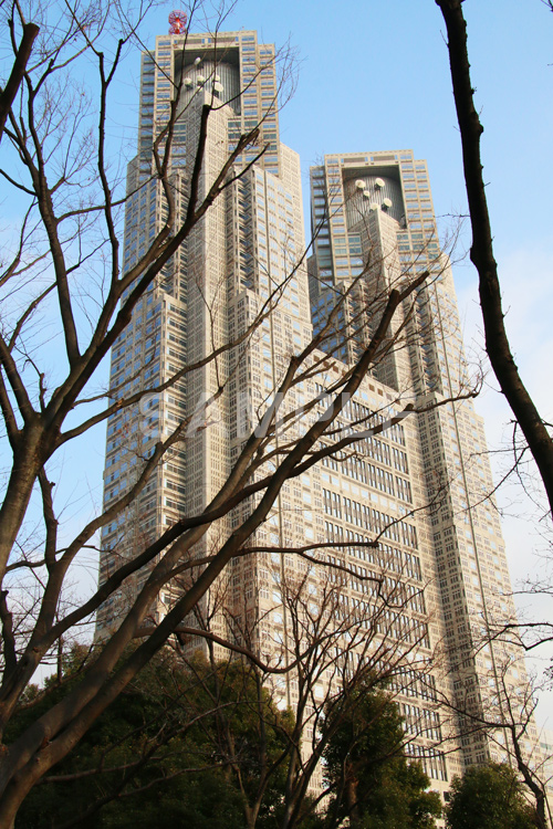 新宿中央公園,中央公園,東京都庁,都庁,とちょう,都知事,執行機関,行政,高層ビル,新宿,新宿区,第一本庁舎,庁舎,shinjuku