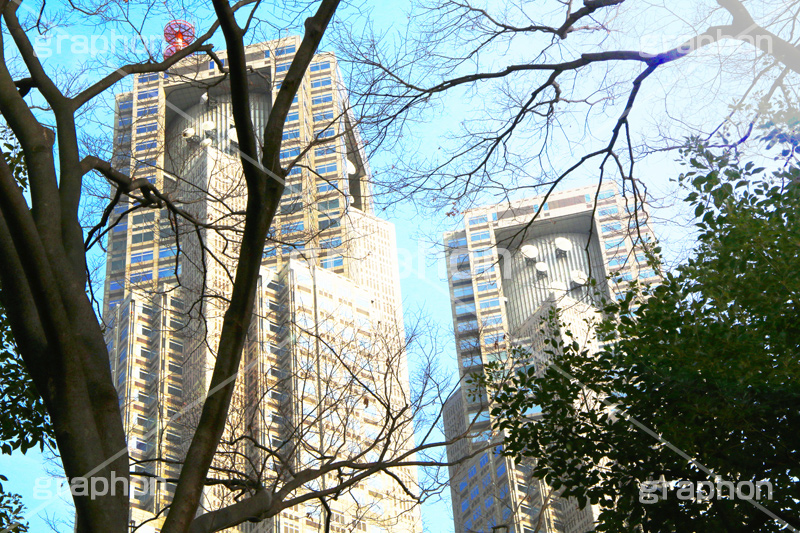 新宿中央公園,中央公園,東京都庁,都庁,とちょう,都知事,執行機関,行政,高層ビル,新宿,新宿区,第一本庁舎,庁舎,shinjuku