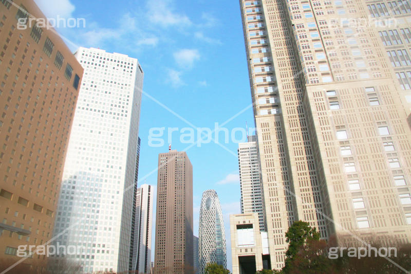 新宿ビル群,新宿,新宿区,ビル,都会,ビル群,高層ビル,ビジネス,shinjuku,building,office