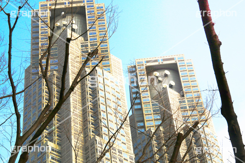 新宿中央公園,中央公園,東京都庁,都庁,とちょう,都知事,執行機関,行政,高層ビル,新宿,新宿区,第一本庁舎,庁舎,shinjuku