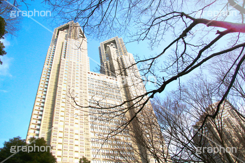 新宿中央公園,中央公園,東京都庁,都庁,とちょう,都知事,執行機関,行政,高層ビル,新宿,新宿区,第一本庁舎,庁舎,shinjuku