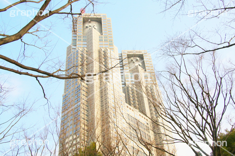 新宿中央公園,中央公園,東京都庁,都庁,とちょう,都知事,執行機関,行政,高層ビル,新宿,新宿区,第一本庁舎,庁舎,shinjuku