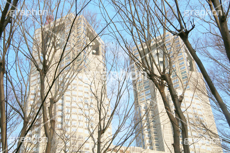 新宿中央公園,中央公園,東京都庁,都庁,とちょう,都知事,執行機関,行政,高層ビル,新宿,新宿区,第一本庁舎,庁舎,shinjuku