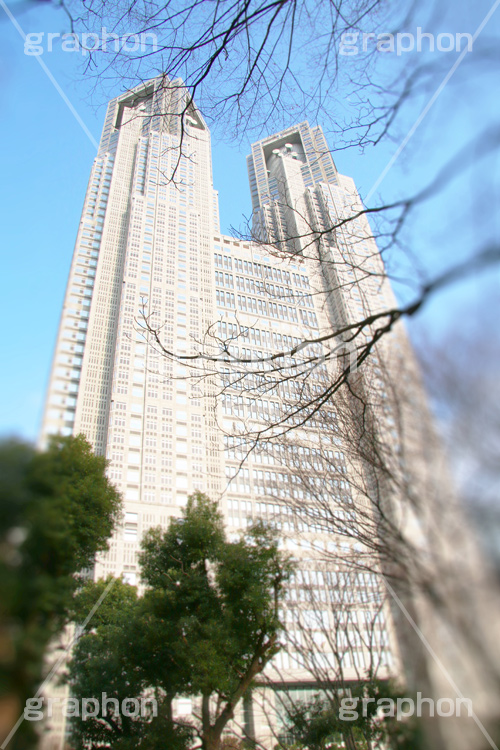 東京都庁,都庁,とちょう,都知事,執行機関,行政,高層ビル,新宿,新宿区,第一本庁舎,庁舎,shinjuku