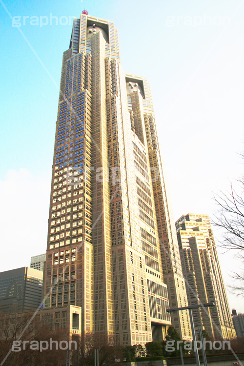 東京都庁,都庁,とちょう,都知事,執行機関,行政,高層ビル,新宿,新宿区,第一本庁舎,庁舎,黄金色,黄金,夕日,shinjuku