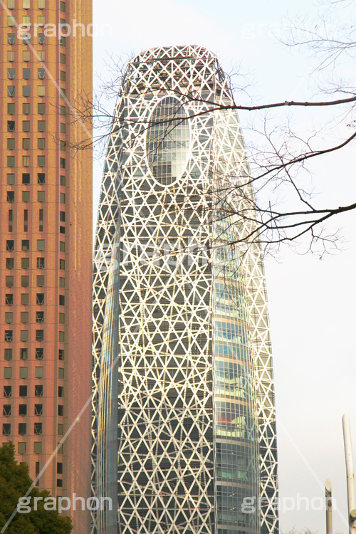 新宿ビル群,新宿,新宿区,ビル,都会,ビル群,高層ビル,ビジネス,shinjuku,building,office