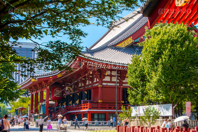 浅草寺,浅草,雷門,あさくさ,台東区,寺,お寺,参拝,お参り,東京都内最古,都内最古,ご本尊聖観世音菩薩,御宮殿,ごくうでん,不動明王,本堂,asakusa,japan,スポット,寺院