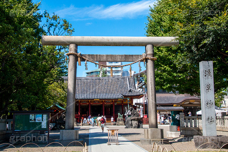 浅草神社,浅草,あさくさ,台東区,神社,参拝,お参り,浅草 名所,浅草 観光,asakusa,japan,shrine,青空